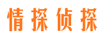 汉阳市私人侦探